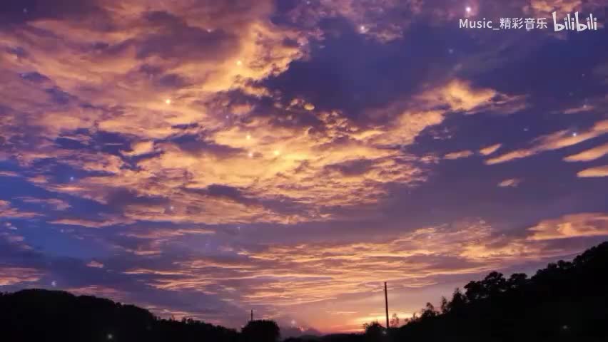 《寂寞沙洲冷》《命中注定》《单车恋人》