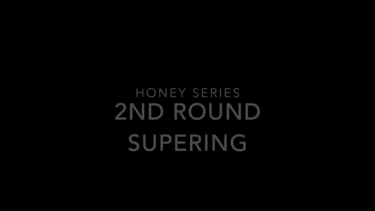 Honey Part 4