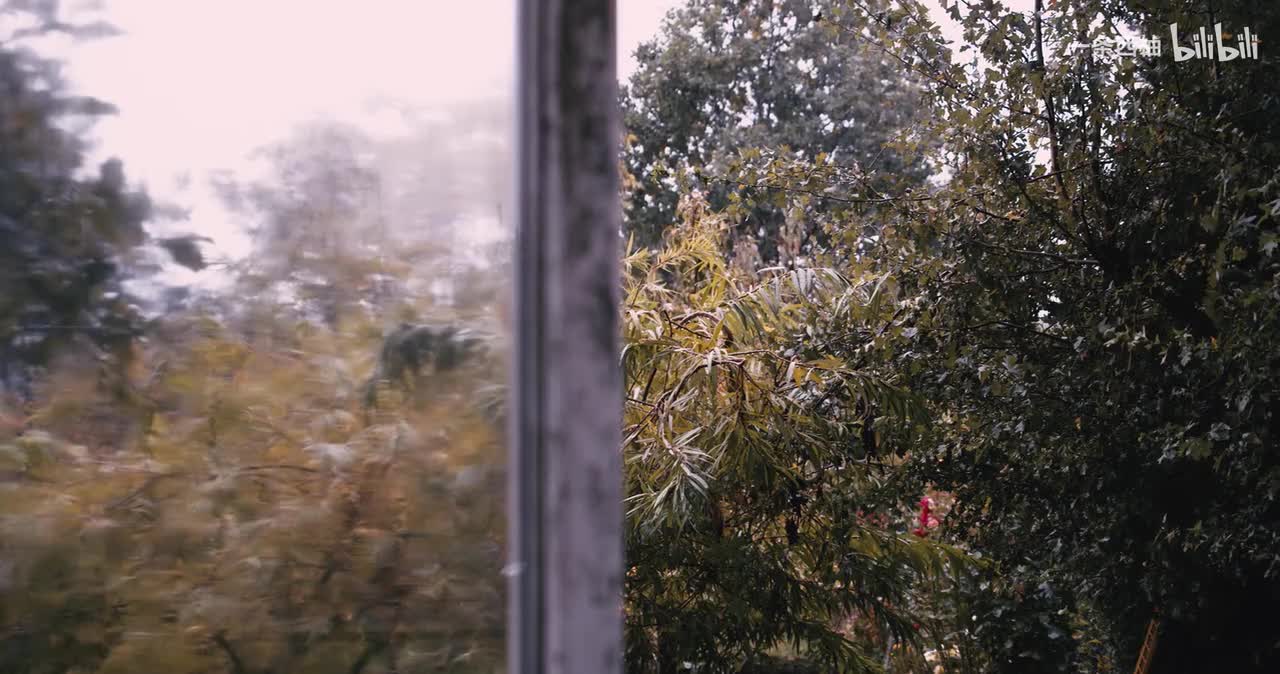 雨中氛围感 (30)