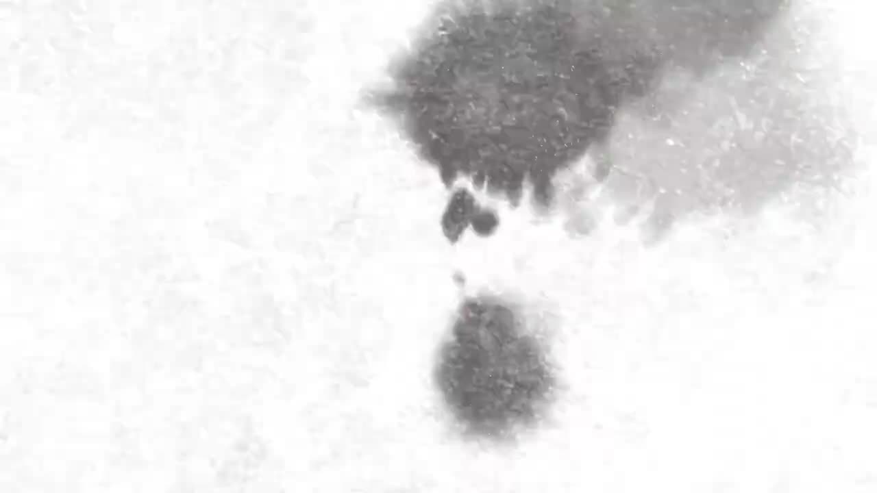 21.【三下同步作文】第六单元：身边那些有特点的人