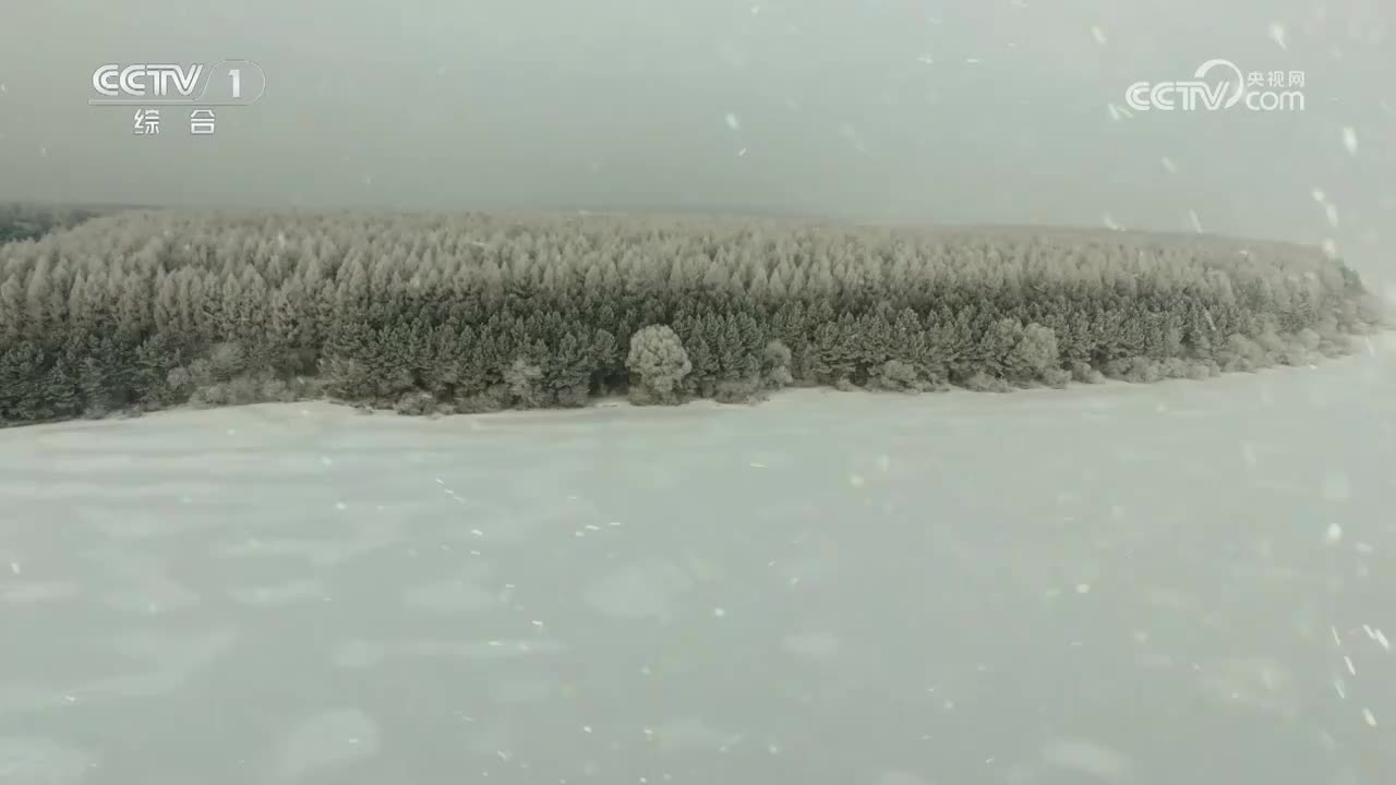 第5集 遍地英雄