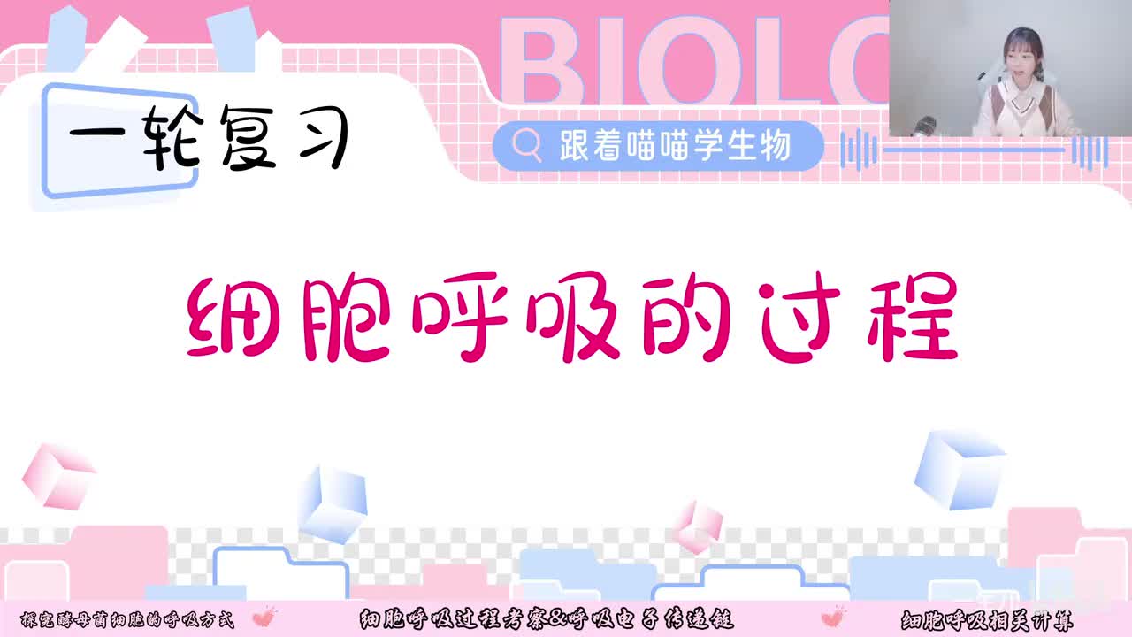 6-1 细胞呼吸的过程