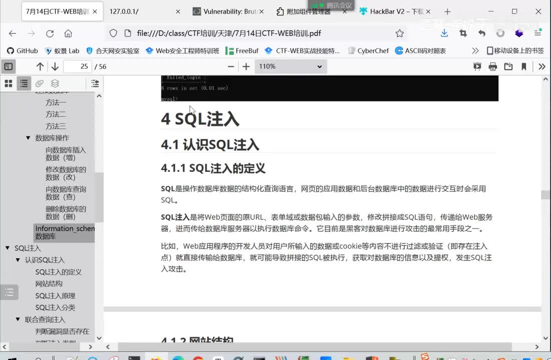 17.什么是SQL注入
