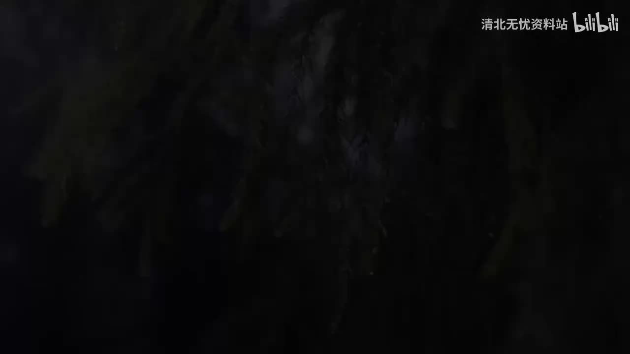 23.二年级（上）002.无处不在的水精灵：我是什么