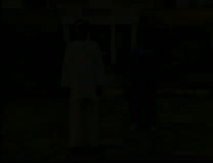 杨氏太极85式动作分解4