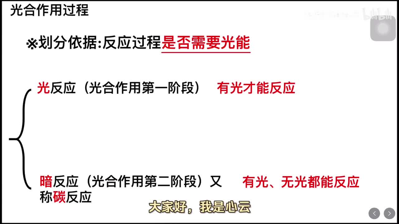 5.4 光合作用（第三课时）