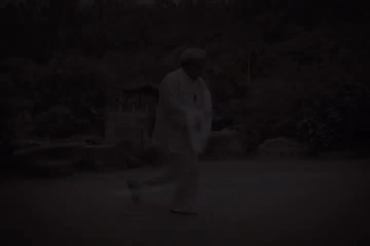 杨式太极拳85式教学4
