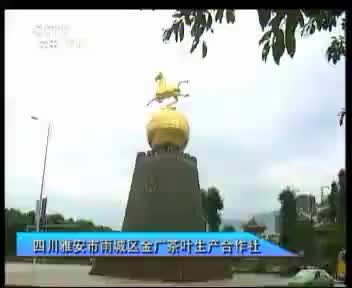 金广茶叶 2012.9.6