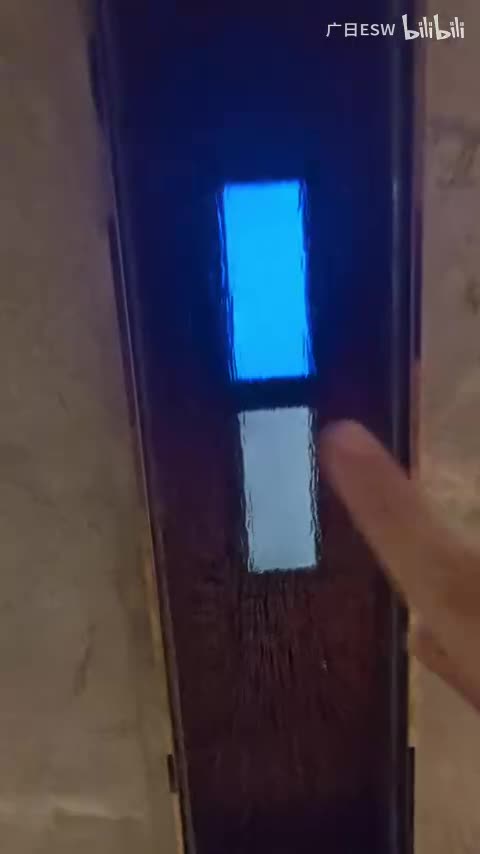 辉盛阁国际公寓的奥的斯sky（中途被问话）