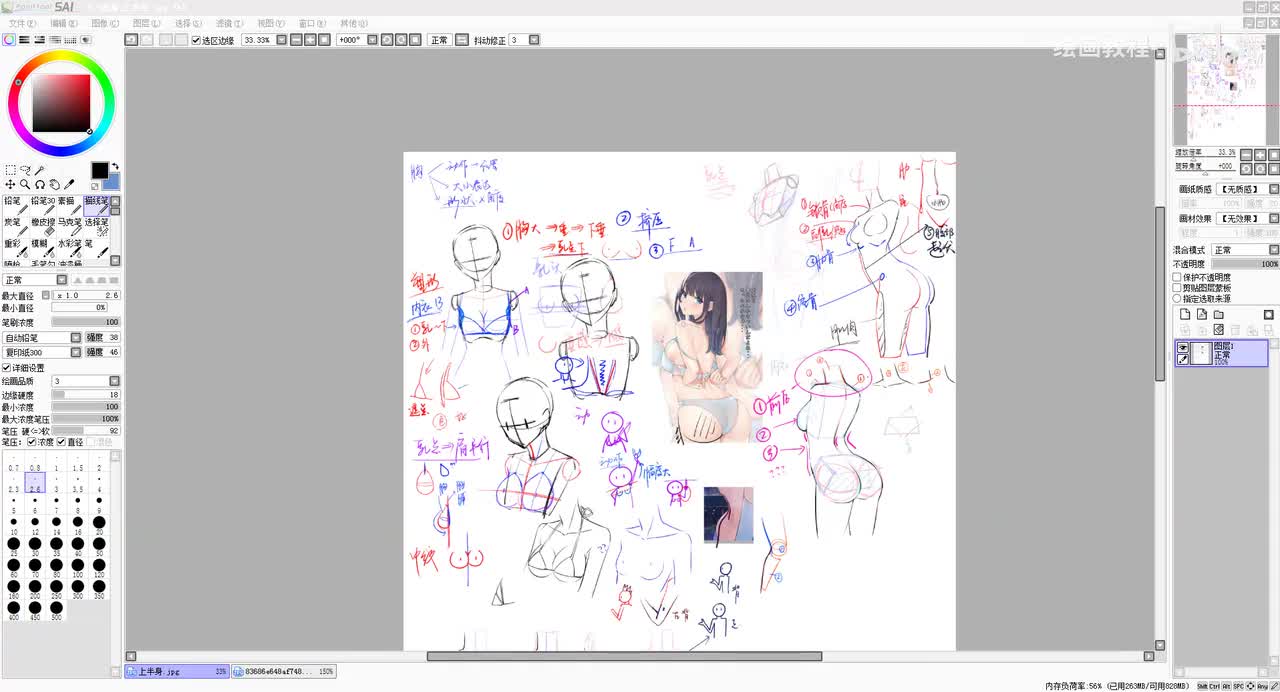 20线稿06下半身胸腔+手