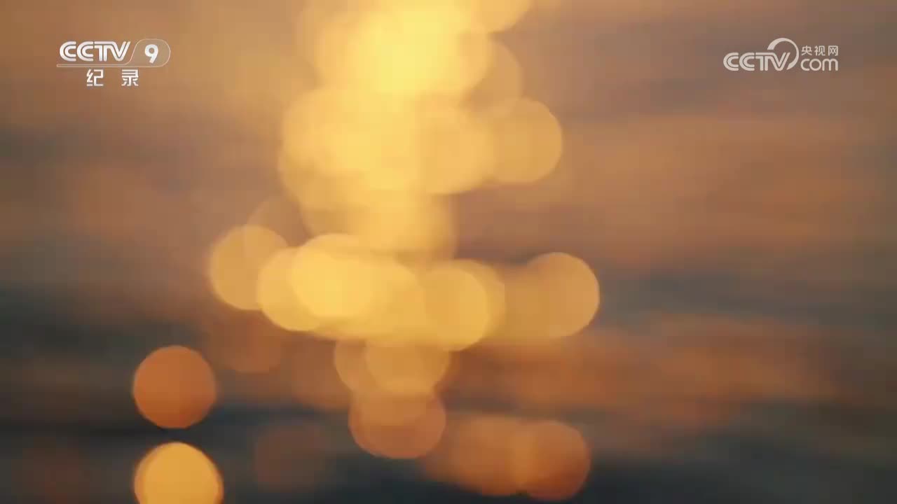 第1集 与彼为邻
