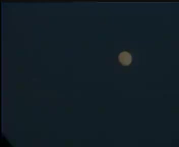 迟来的爱