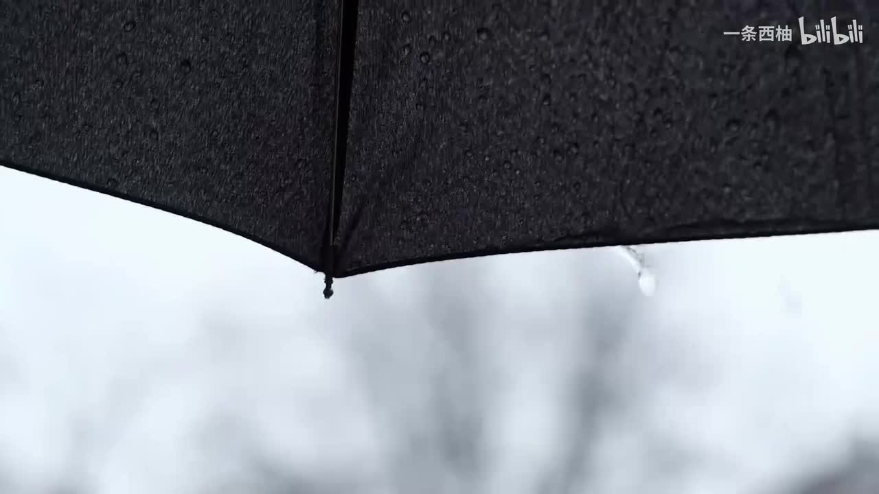 雨中氛围感 (50)