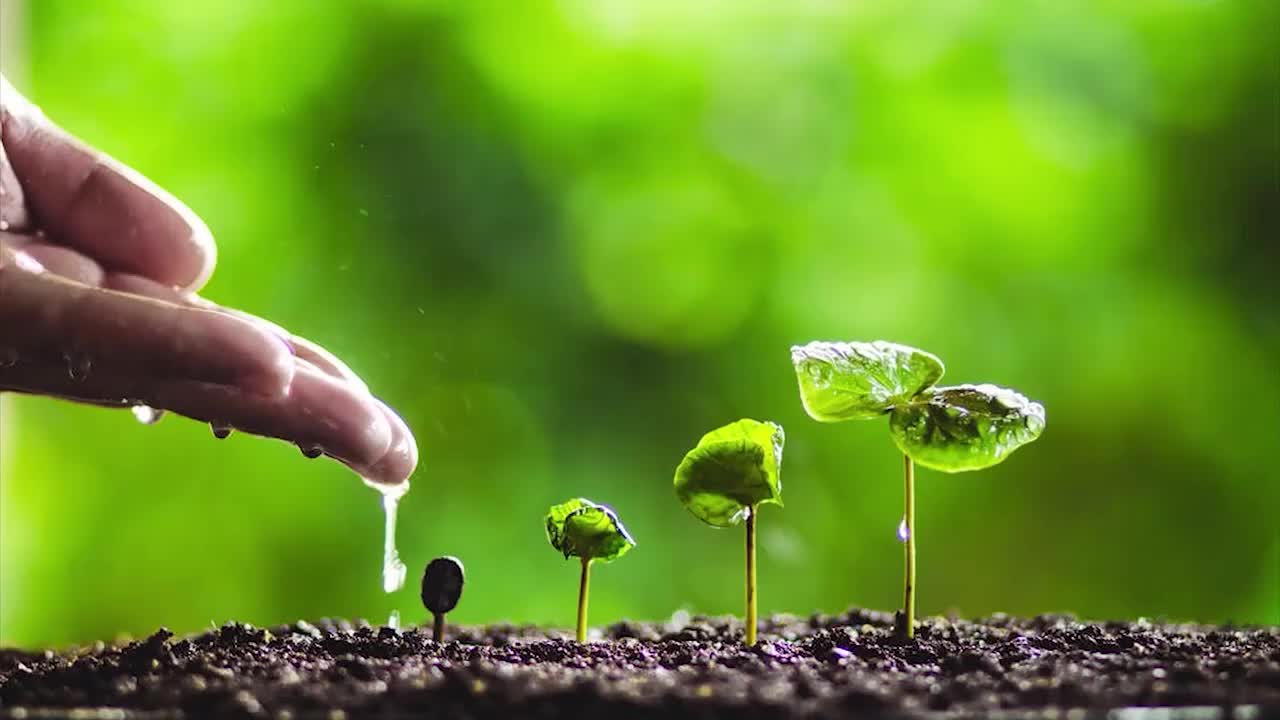 40 细语润心田：合理配电，保障民生