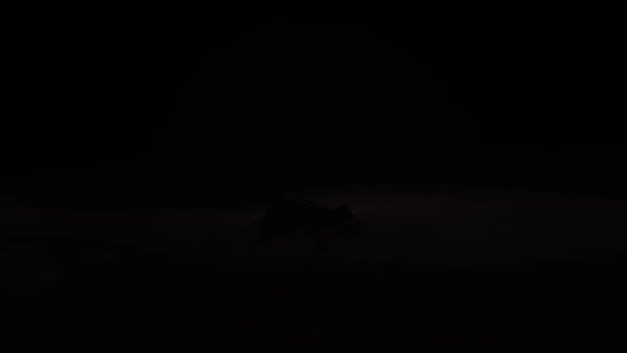 第二章里：参道