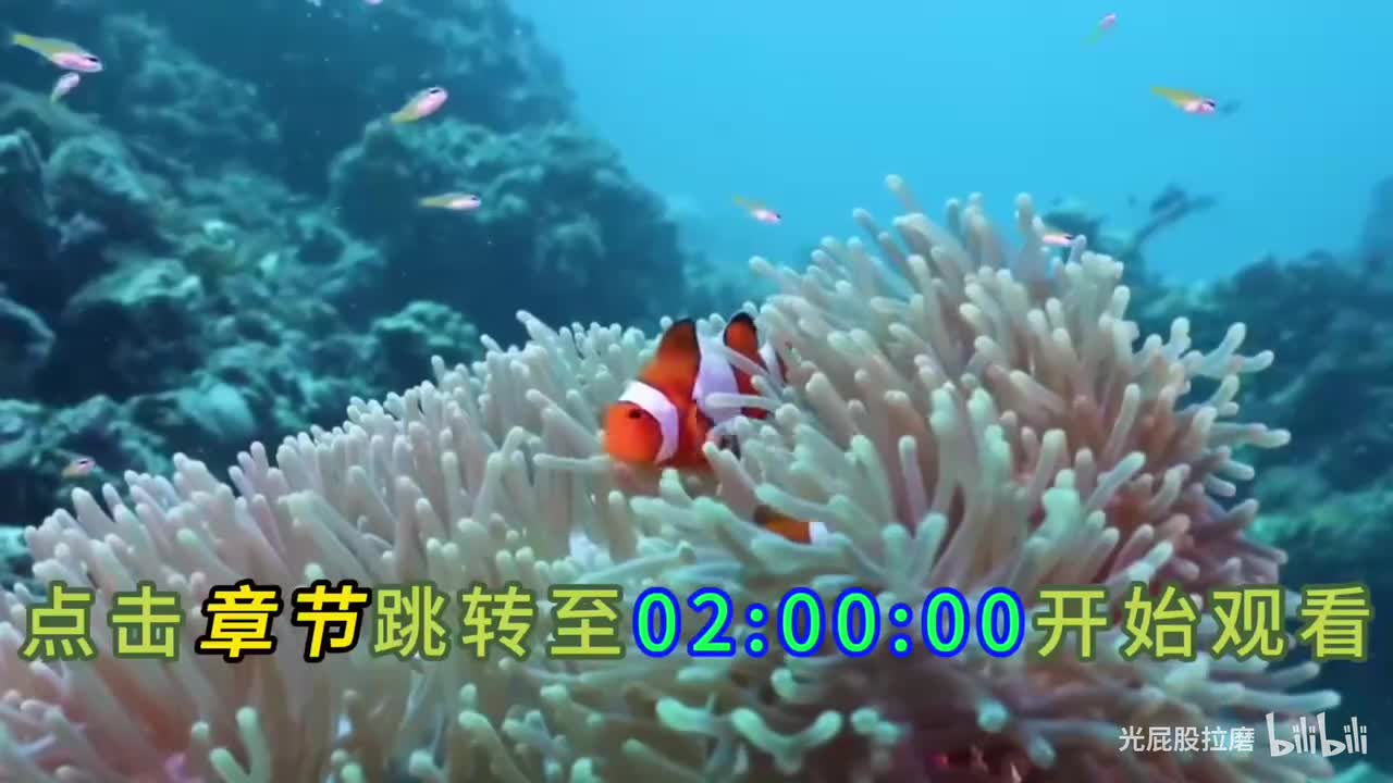 第3-4期