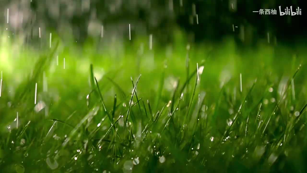 雨中氛围感 (90)