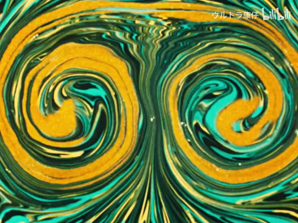 28.人类标本5・6