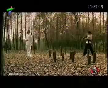 tvcimage.meihua.infompeg20100228113118_DBCB.mp4