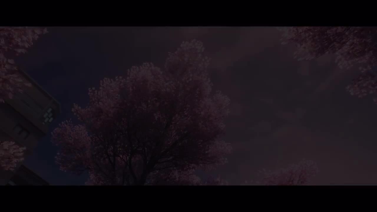 （女漂）5【剧情演出】樱花树下