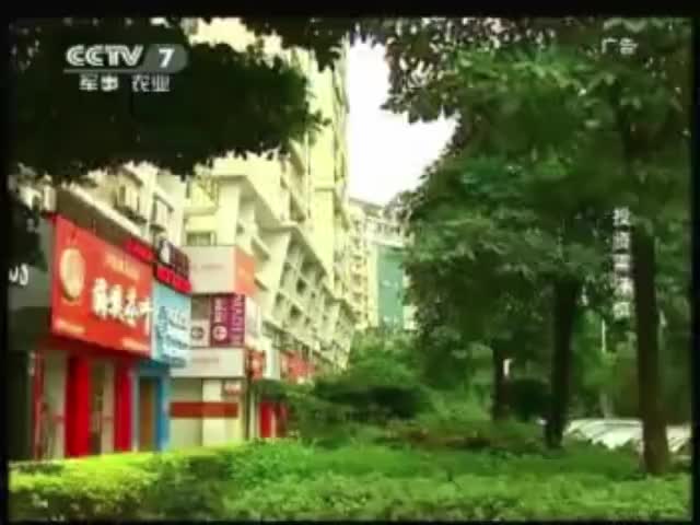 春秋三国 2011.12.12