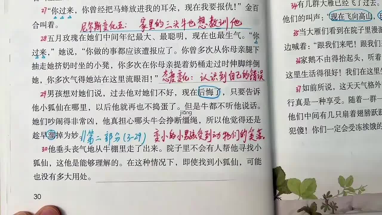 17_骑鹅旅行记（二）