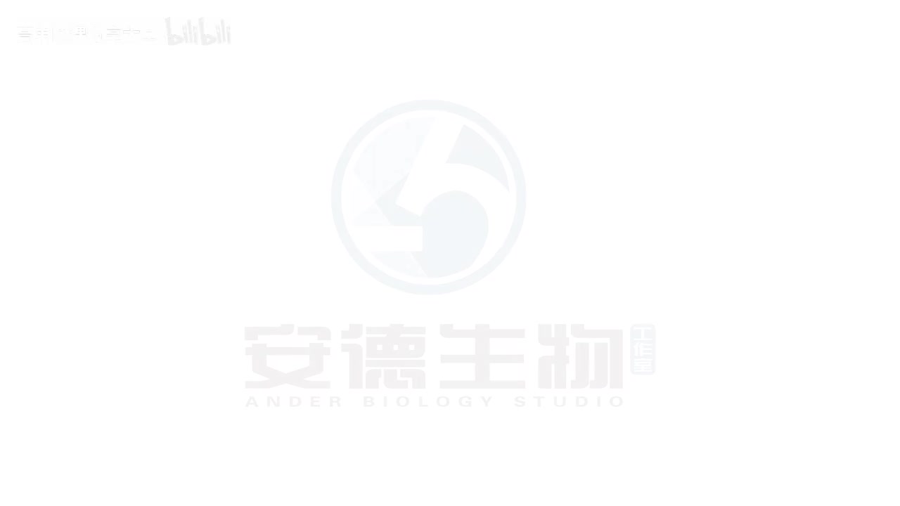 19.伴性遗传规律和方法