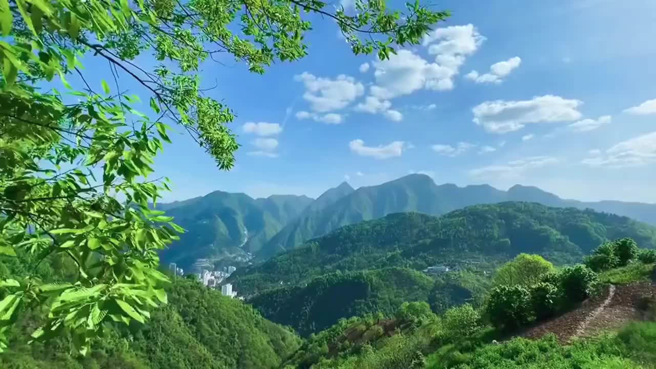 风景
