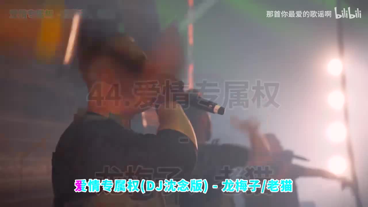 044. 爱情专属权 (DJ沈念版) - 龙梅子、老猫