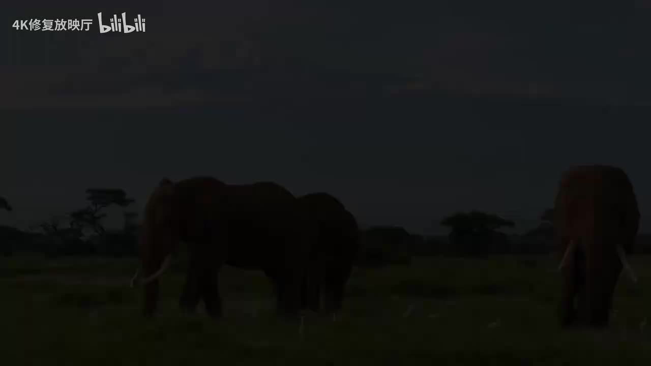 周更