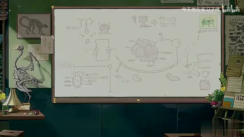 38-23-23 ATP是直接能源物质（二）