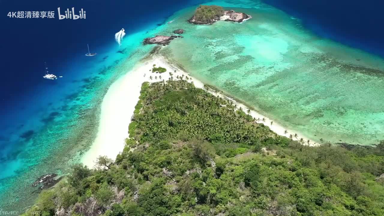 谢谢观看，点点关注不迷路