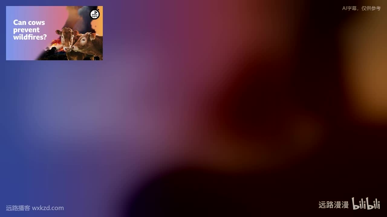 250501 - Can cows prevent wildfires?