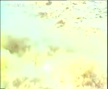 豫剧《杨家将》08 朱坤芳 袁国庆 杜建水 索文化 毛松奇