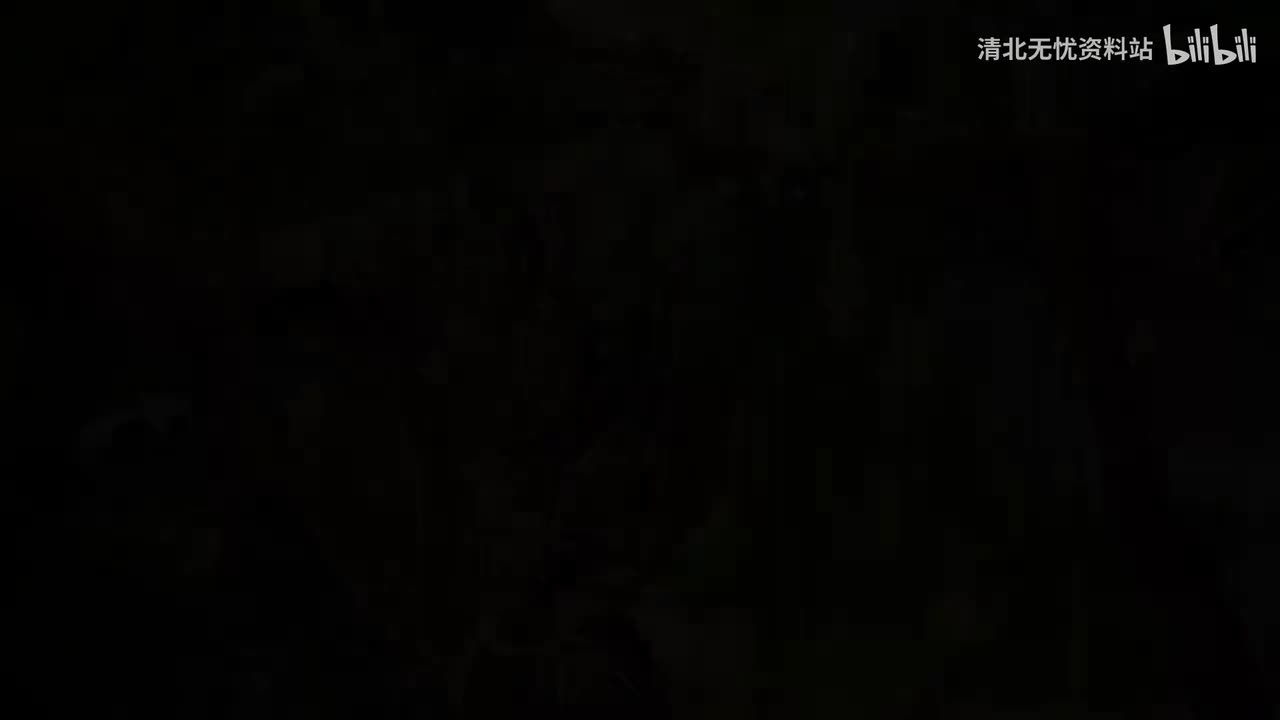 48.三年级（上）005.千奇百怪的胡须：《胡萝卜先生的长胡子》