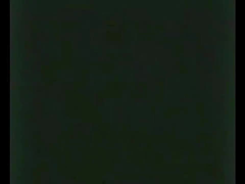 第十集.劳菲尔行动