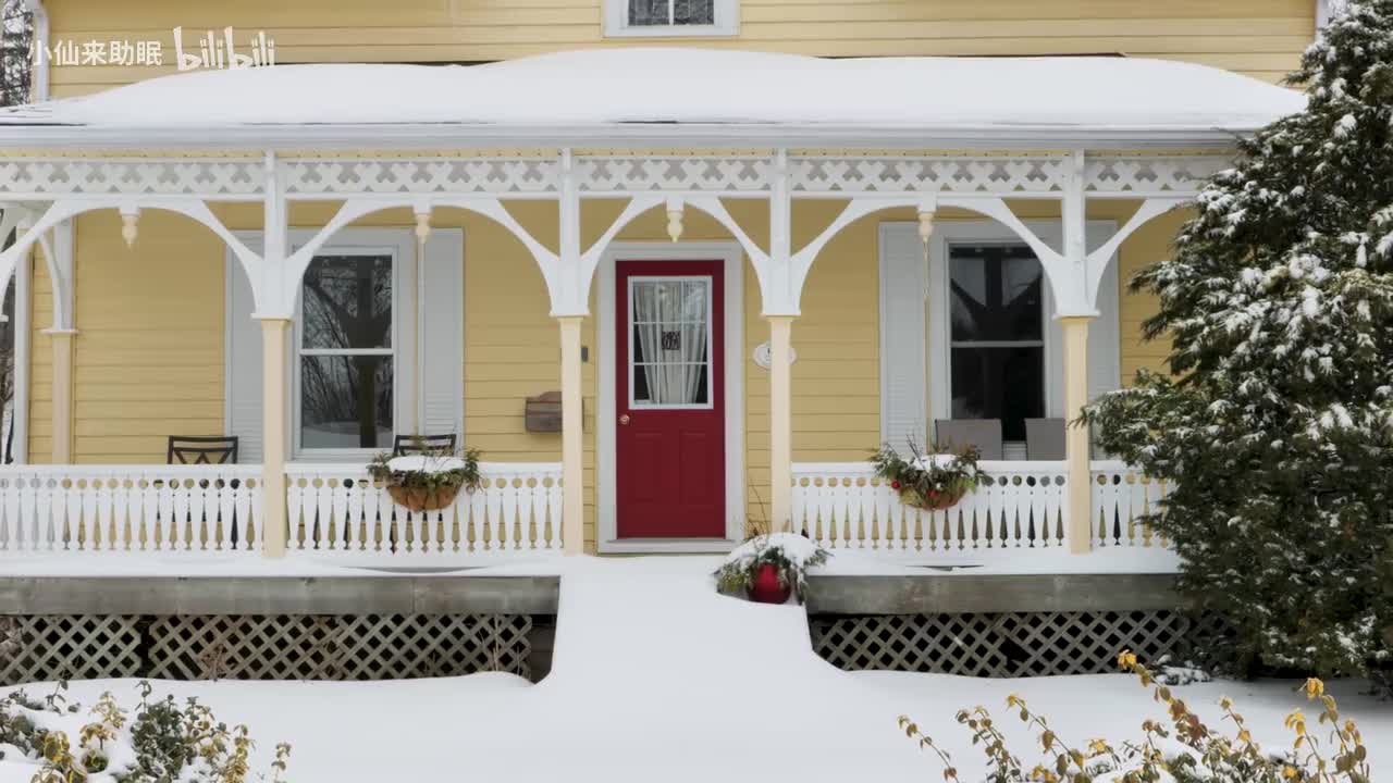 387 I Love Shoveling The Snow