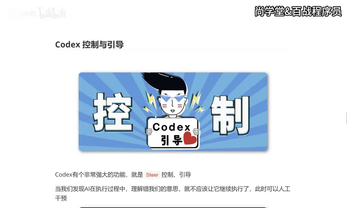 05_Codex 控制与引导