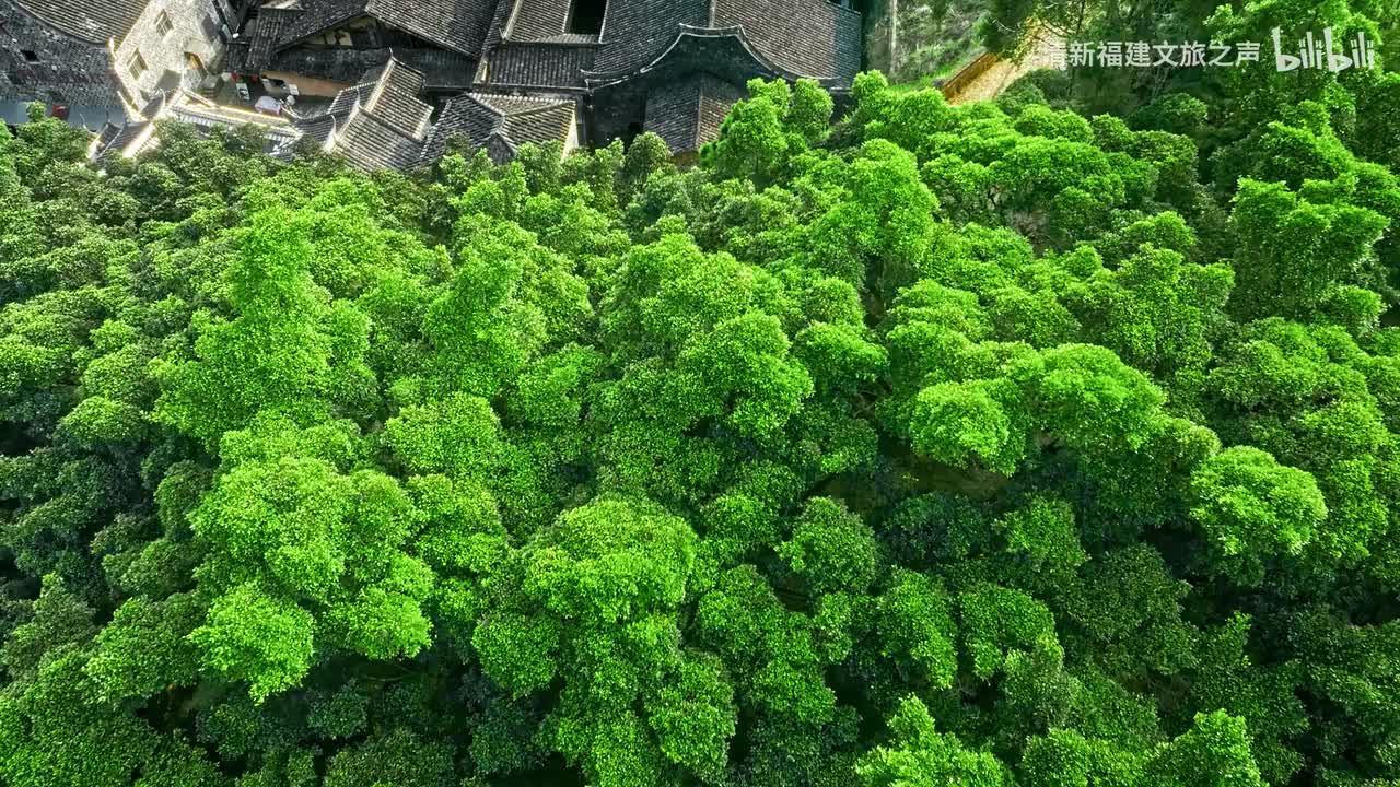 山海里的散文诗-半月里（4K)