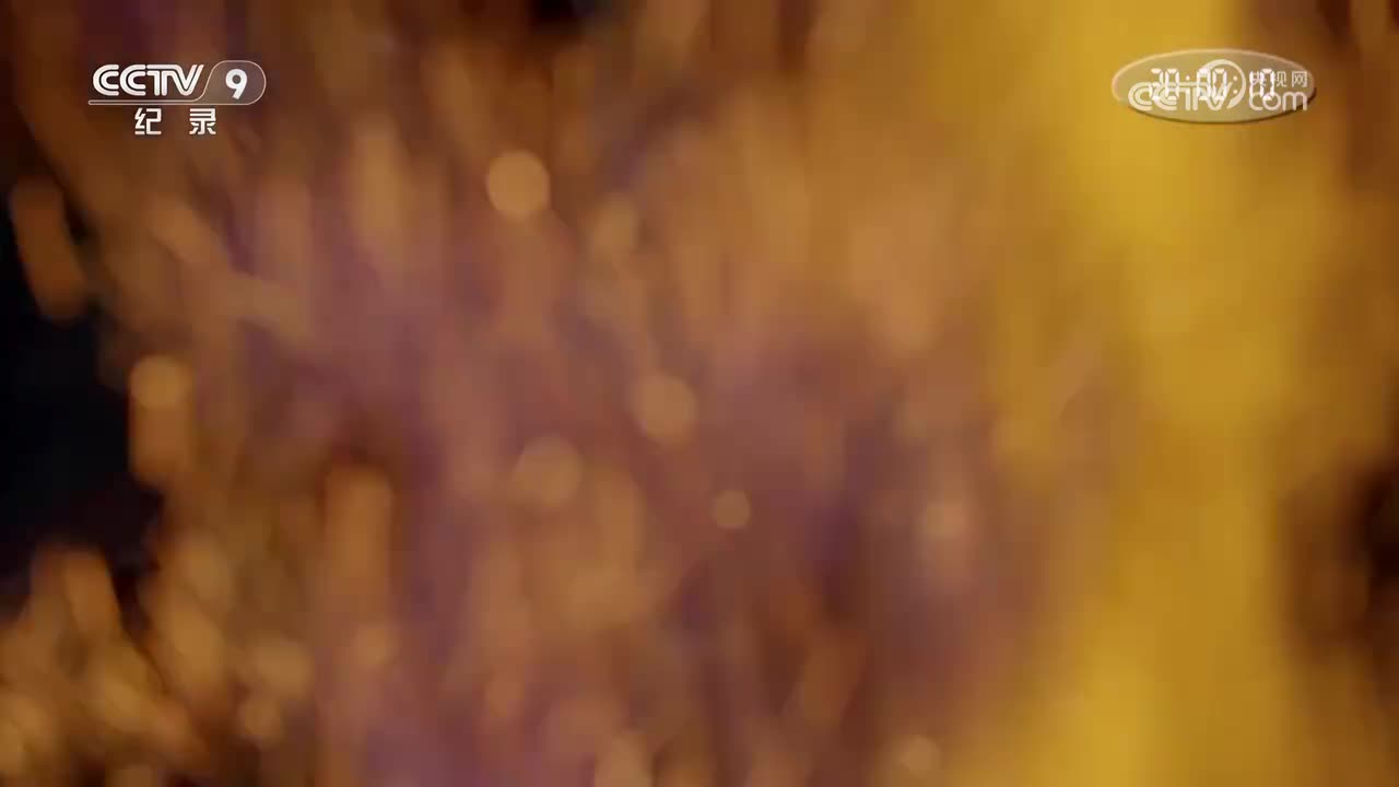 第3集 坚守