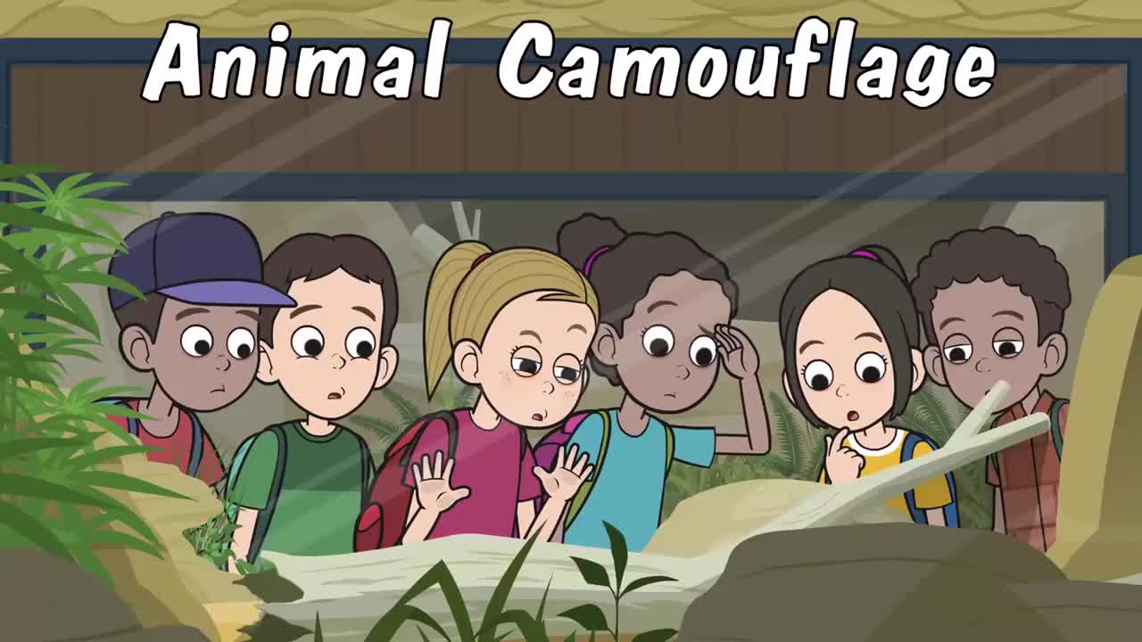 002_Animal Camouflage