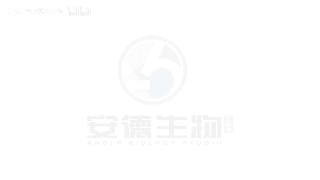 11.细胞分裂图像类题