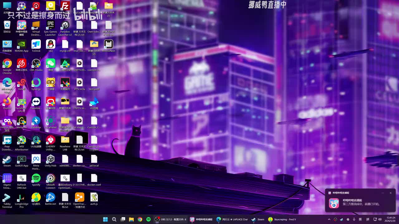 P01 05-20 13:41:24 挪威鸭