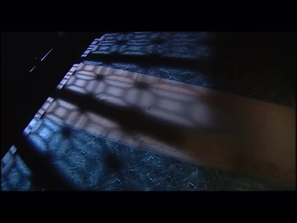 第3集（4）被立为继承人