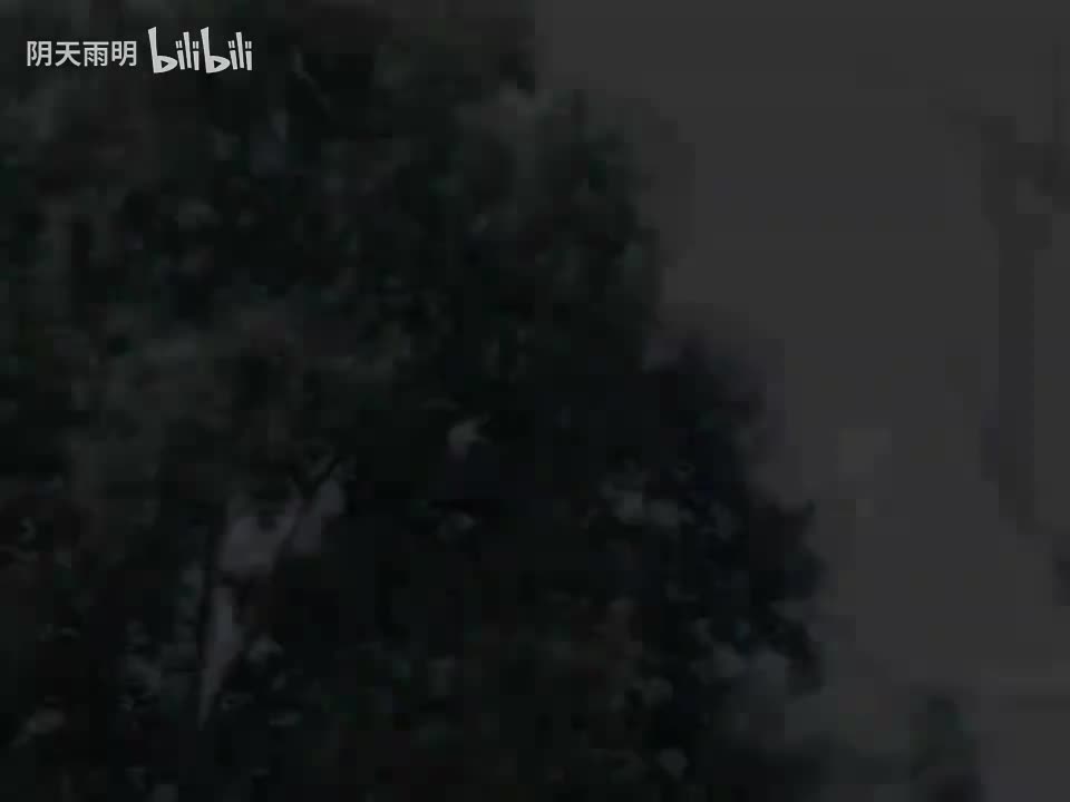 民间小调《俩个儿子活葬母》04 张丽 田明金 尹桂廷 曹四臣 荆丽君 荆献鼎 李发东