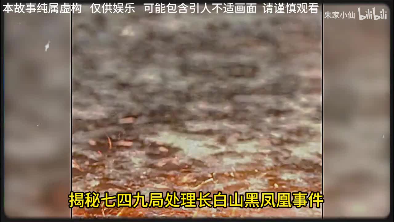 749局处理长白山黑凤凰事件，难道真的有人在偷偷修炼吗？