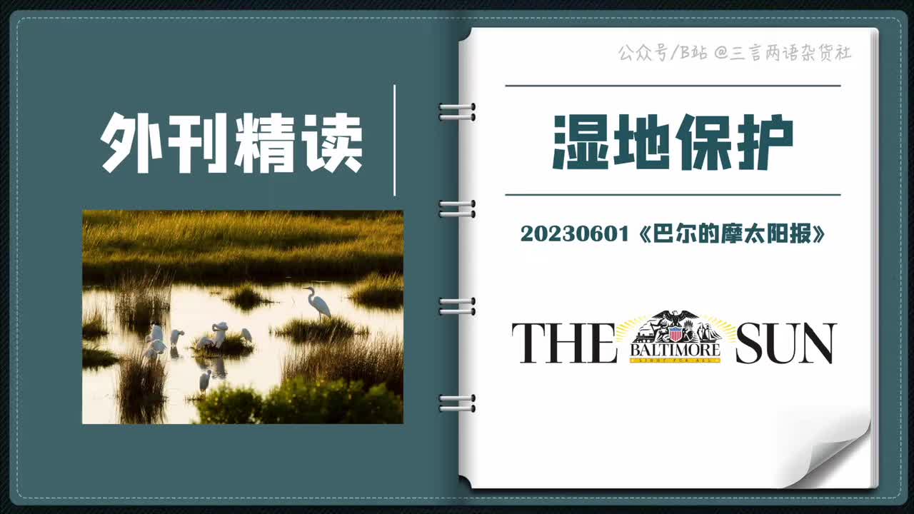 2024考研英语一：谁该为湿地保护负责？