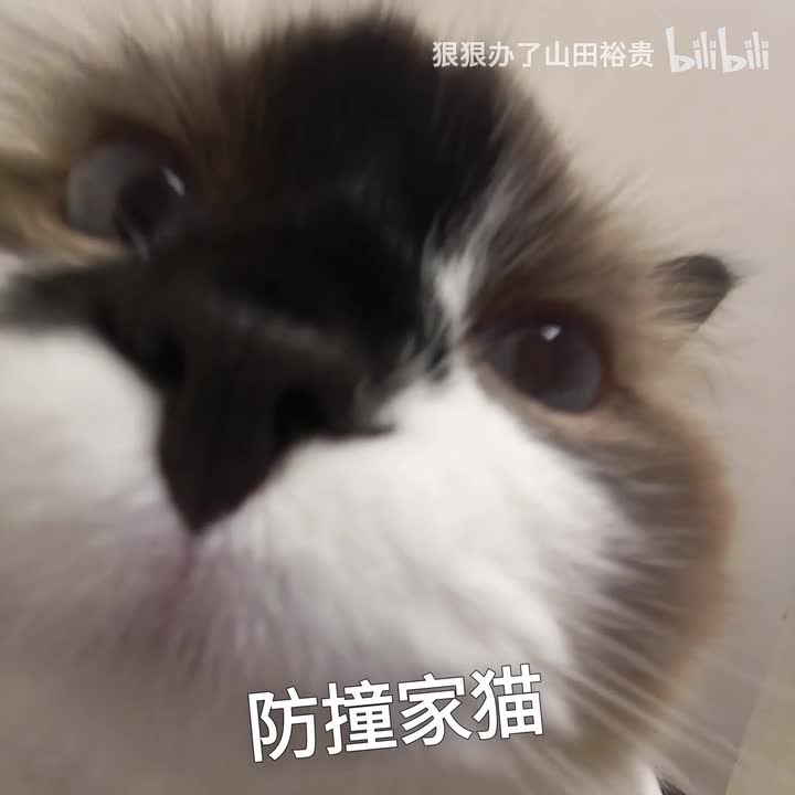 防撞