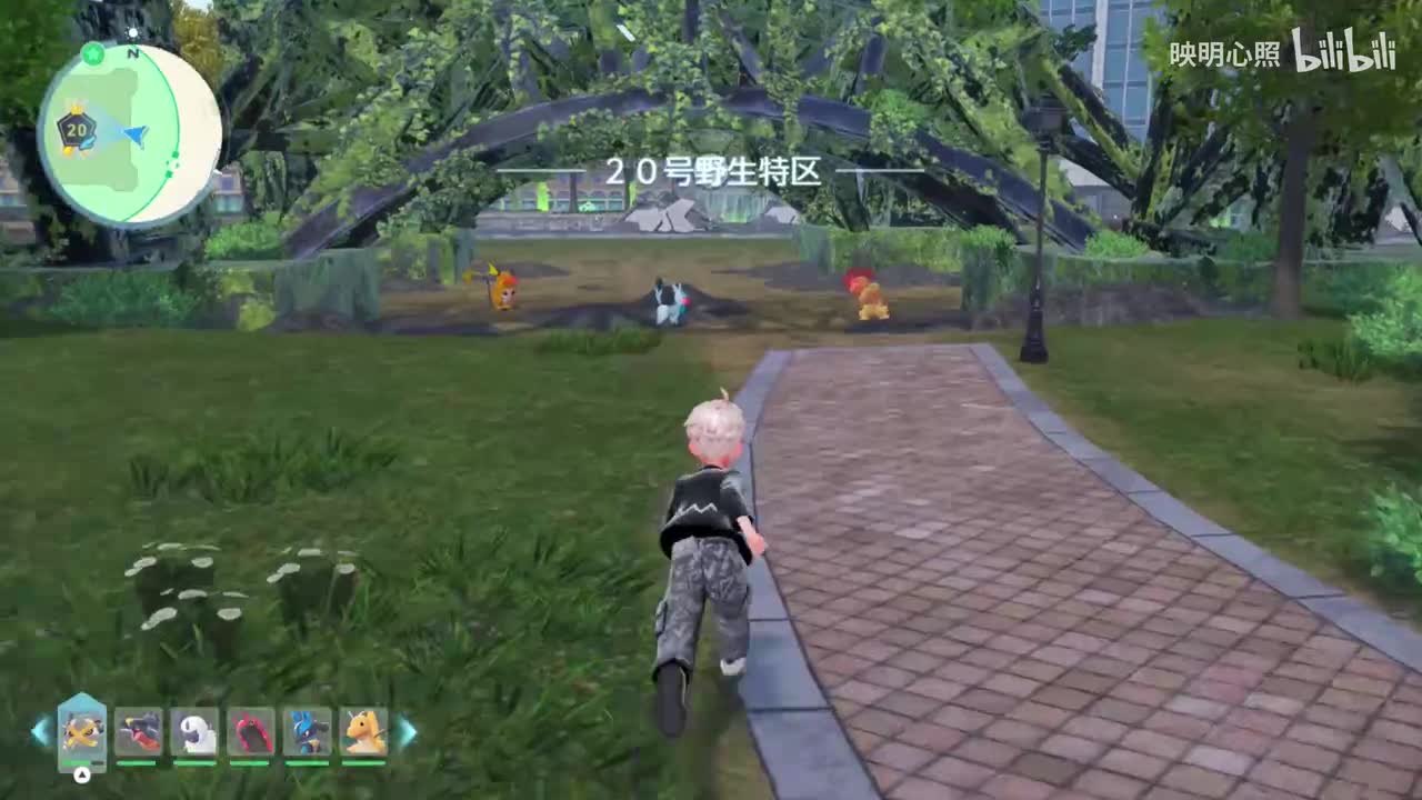 6头目3倍率20区邪修刷闪流！45分钟一只头目闪！一觉醒来6头闪！《宝可梦传说Z-A》