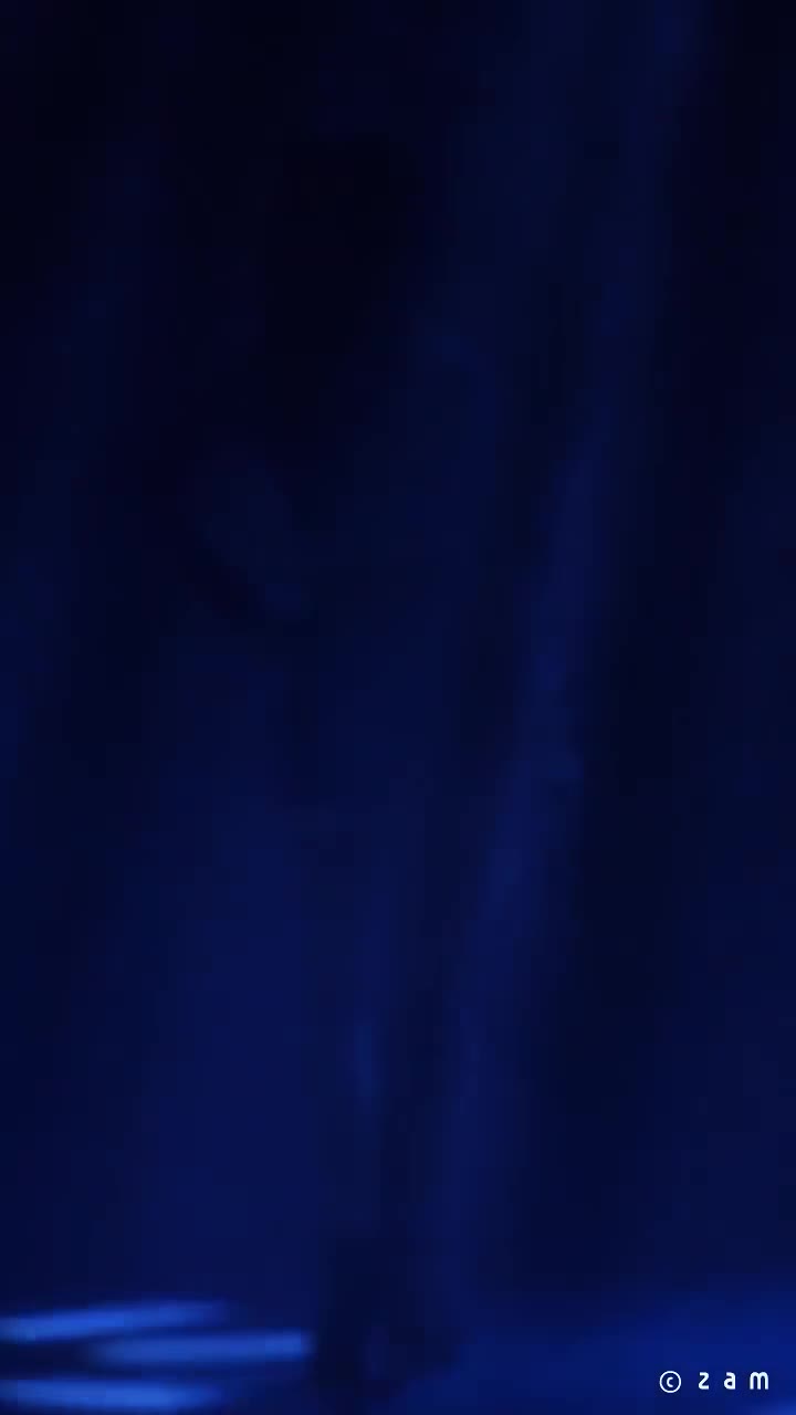 151205 걸스데이 Girl's Day - 링마벨 & 달링 & 썸씽 (영웅의군단 콘서트) 직캠 fancam by zam (720x1280 60